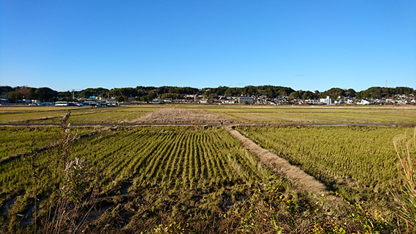 dsc_0204_23956894431_o