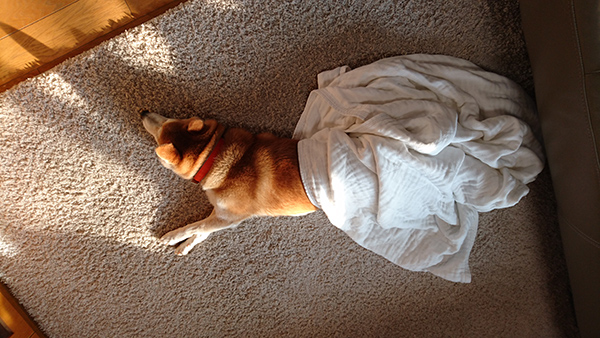 dsc_0234_23818641610_o