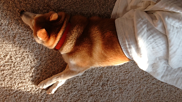 dsc_0235_24006201562_o